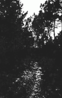 Mons Veneris : Vastlands of My Decayed Realm